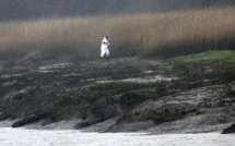 Affaire Troadec: découverte de fragments de corps et de bijoux