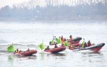 Norvège: le harponnage de baleines en gestation révolte des ONG