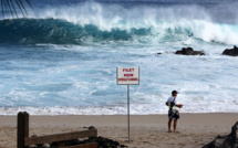 La pêche ciblée renforcée et la commercialisation de squales envisagée