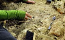 Colombie: découverte d'un fossile de 127 millions d'années "unique au monde"