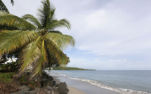 Martinique : un parc naturel marin créé d’ici fin mars