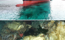 Récifs endommagés: l'Indonésie convoque l'ambassadeur britannique