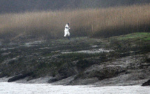 Affaire Troadec: les ADN des 4 membres de la famille retrouvés sur les restes humains