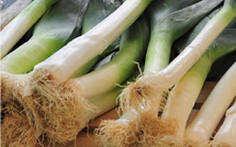 Planter des poireaux sur les trottoirs parisiens, c'est possible