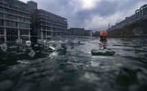Le Grand Bleu en clandestin dans les eaux grises de Paris