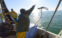 UE s'engage sur 10 ans pour "sauver" les stocks de poissons en Méditerranée