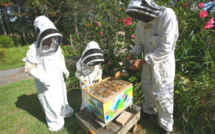 Carnet de voyage - Nouvelle-Zélande : vacances entre ruches et miel à Coco Zen