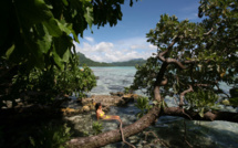 Carnet de voyage - Opoa Beach : le sud bleu, blanc et tout doux de Raiatea