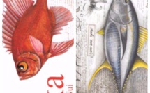 "Ika Rapa Nui" : le livre des poissons de l’île de Pâques