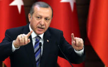 Nouvelle purge en Turquie: près de 4.000 fonctionnaires congédiés (décret)