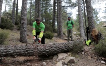En Corse, le GR20 se refait une beauté pour accueillir les randonneurs du monde entier