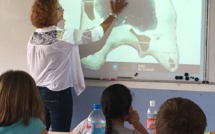 Projet "Mata Ora no Tetiaroa" : 14 classes en compétition