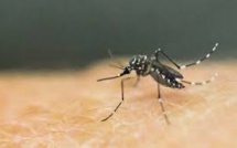 Un bébé de 6 mois meurt de la dengue en Nouvelle-Calédonie