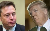 Climat: Musk et le PDG de Disney cessent de conseiller Trump