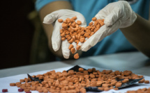 En Europe, les drogues sont de plus en plus dangereuses et mortelles