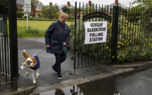 GB: les chiens, stars inattendues des législatives