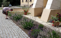 Un jardin suisse pour soigner des troubles psychiques en Pologne