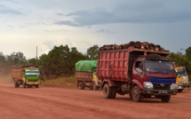 En Indonésie, des tribus victimes de la déforestation se tournent vers l'islam