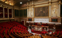 Un député de Guadeloupe appelle à la création d'un groupe ultramarin à l'Assemblée