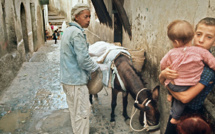 L'âne, "camion-poubelle" de la Casbah d'Alger depuis cinq siècles