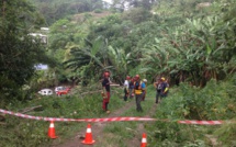 Les agents communaux de Mahina se forment au bûcheronnage
