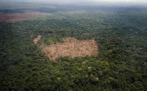 Brésil: la forêt amazonienne pourrait perdre son plus généreux protecteur
