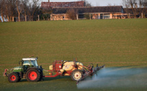 Perturbateurs endocriniens, des substances nocives présentes partout