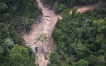 La déforestation en Colombie a augmenté de 44% en 2016