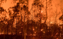 5.000 pompiers combattent des feux de forêt en Californie
