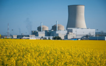 Hulot sort du bois en évoquant "jusqu'à 17" fermetures de réacteurs nucléaires