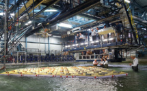 Pays-Bas: des îles flottantes testées pour accueillir des habitations en mer