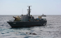 Le Sri Lanka sauve un éléphant en pleine mer