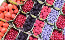 Un régime alimentaire légèrement meilleur permet de vivre bien plus longtemps