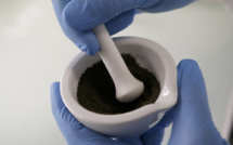 Perturbateurs endocriniens: le gouvernement publie deux listes de pesticides