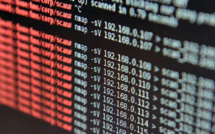 Deux sites de trafic de drogue et d'armes fermés sur le "Dark web"