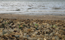 Des milliards de tonnes de plastiques s'accumulent dans la nature