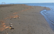 Mahina : les poissons meurent à la Pointe Vénus