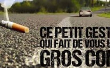 Réchauffement, urbanisme : en Méditerranée, la forêt n'a pas fini de brûler