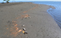 Poissons morts à Mahina : à qui la faute ?