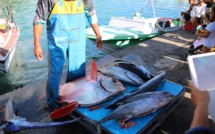 CESC : 18 voix pour les aides à la pêche