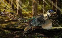 Un nouveau dinosaure à plumes affublé d'une énorme crête