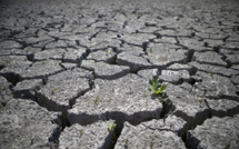 30,5°C en Corse, record de température nocturne pour la France métropolitaine