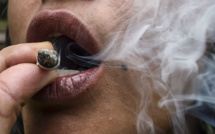 Indonésie: il plante du cannabis pour traiter le cancer de sa femme, prison ferme