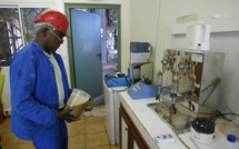 Guadeloupe: à Goyave, l'eau polluée depuis plus de deux mois redevient potable