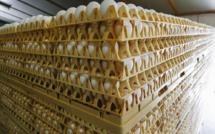 Des millions d'oeufs néerlandais contaminés retirés de la vente dans un scandale sanitaire