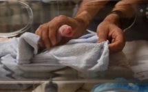 Brigitte Macron "très heureuse" d'être la marraine du bébé panda (zoo)