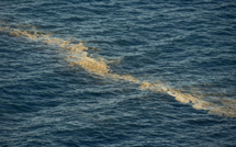 Canaries: prolifération d'une microalgue irritant les baigneurs