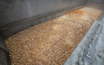 Oeufs contaminés: deux arrestations, l'enquête contre la fraude s'accélère