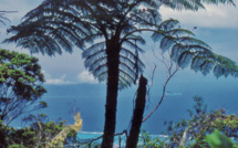 Carnet de voyage - Mont Marau : balade parmi la flore d’altitude