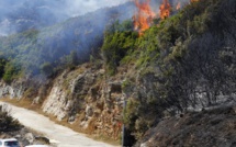 Incendies en Haute-Corse: des feux contenus après avoir parcouru environ 2.000 hectares